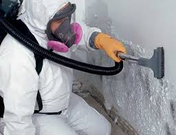 Biohazard Mold Removal in Lemont, IL